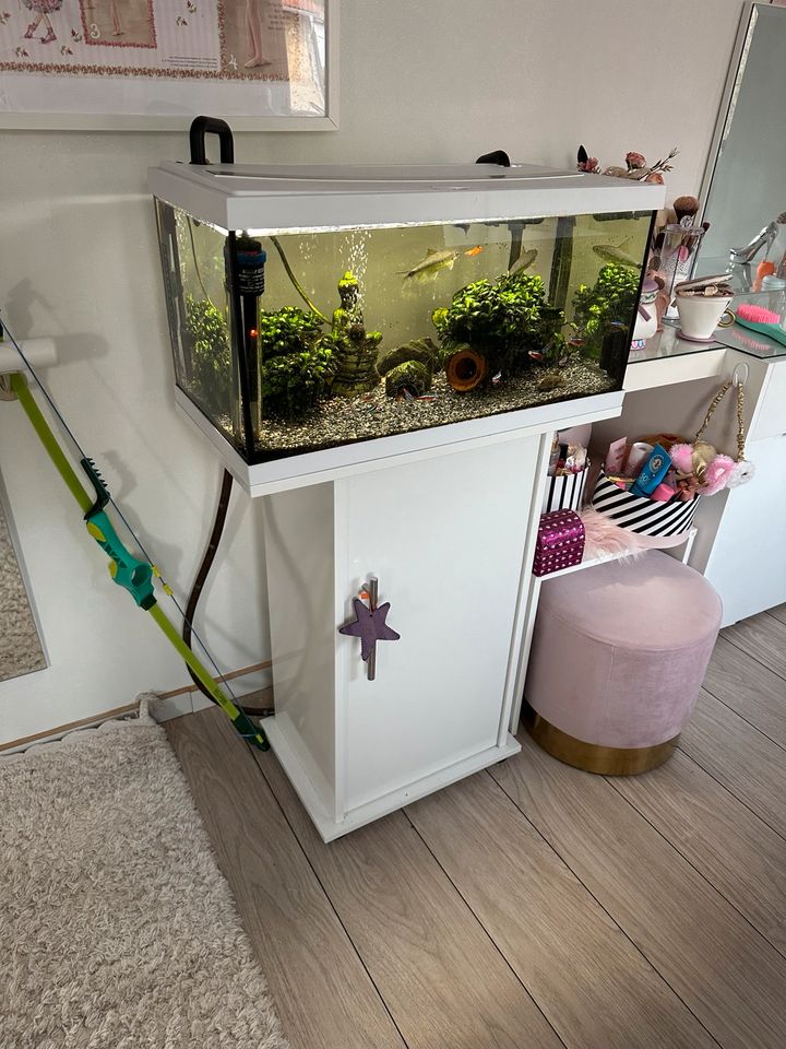 Aquarium 60l mit hochwertigen Außenfilter und Schrank in Treben