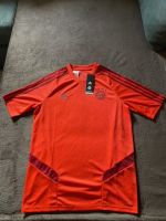 Herren T-Shirt Adidas ,Rot Saarland - Schmelz Vorschau