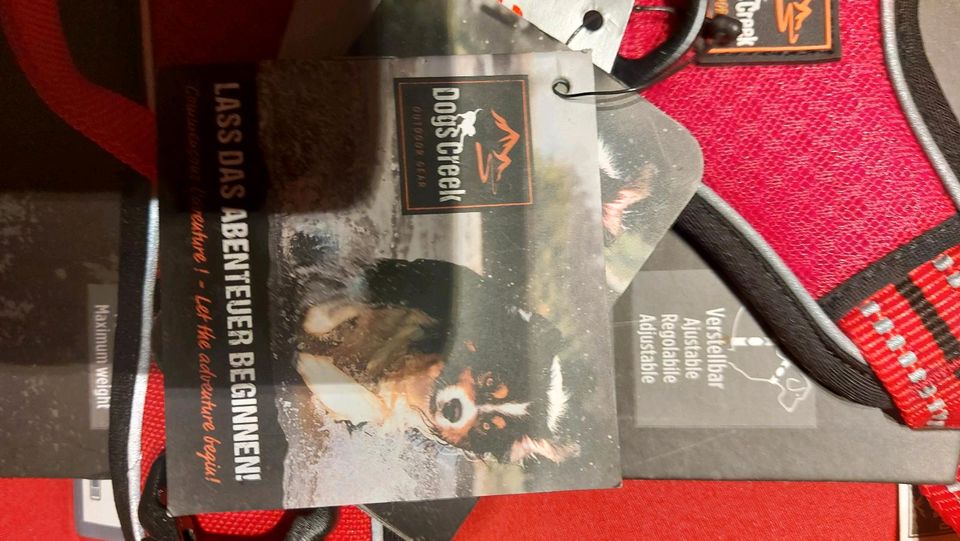 Hundegeschirr von Pathfinder neu mit Edikett für 22 Euro + Versan in Freihung