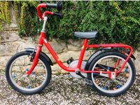 Lion Kinder Fahrrad rot 16 Zoll (ähnlich Puky) Hessen - Wolfhagen  Vorschau