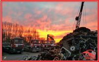 ★ Containerdienst Bauschutt Gartenabfall Holzabfall Sperrmüll  ★ Niedersachsen - Peine Vorschau