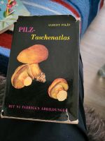 Pilz Taschenatlas  Albert Pilot 1962 Nordrhein-Westfalen - Nottuln Vorschau