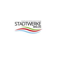 Mitarbeiter Finanzbuchhaltung (m/w/d) bei der Stadtwerke Brilon Energie GmbH gesucht | www.localjob.de # job kaufmännisch analyse Nordrhein-Westfalen - Brilon Vorschau