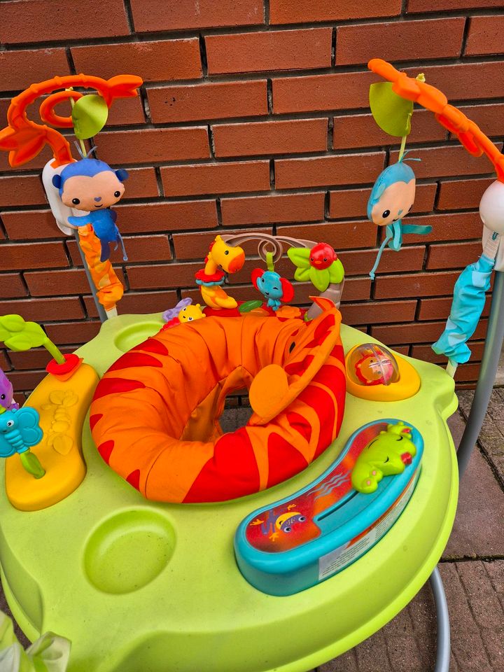 Jumperoo von Fisher price in Rehden