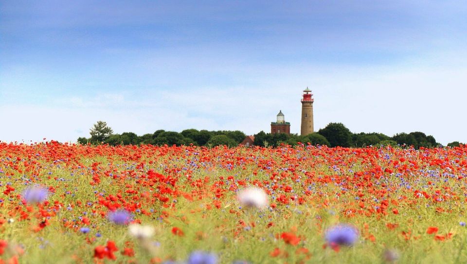 Inselurlaub: Freie Ferienwohnungen auf Rügen [07-08 2021 belegt] in Zudar