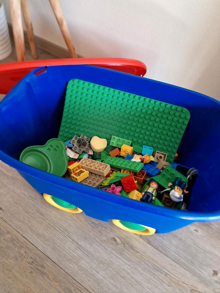 Lego Duplo inkl. große Platte und Kiste in Tornesch