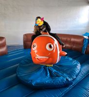 Rodeo Clownfisch mieten Baden-Württemberg - Ettlingen Vorschau