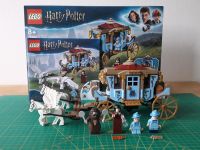 LEGO Harry Potter 75958 Kutsche von Beauxbatons Vollständig Niedersachsen - Lüneburg Vorschau