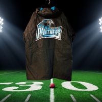 NFL Carolina Panthers Vintage Jacke Nordrhein-Westfalen - Hemer Vorschau