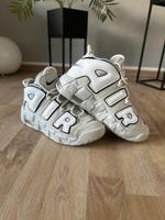 Nike Uptempo Photon Dust Nordrhein-Westfalen - Schwelm Vorschau