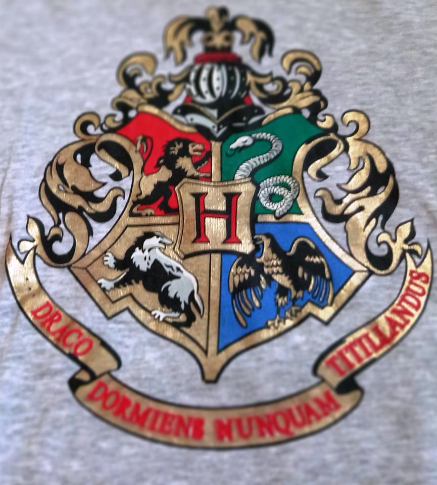 H&M Kapuzenpulli Harry Potter Hoodie Gr 170 nur 5€ in Güglingen