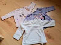 3 Baby Pullover, Gr 62, Mädchen, ua H&M Niedersachsen - Hermannsburg Vorschau