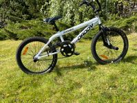 BMX Fahrrad Big Daddy Rooster 20 Zoll Brandenburg - Brieskow-Finkenheerd Vorschau