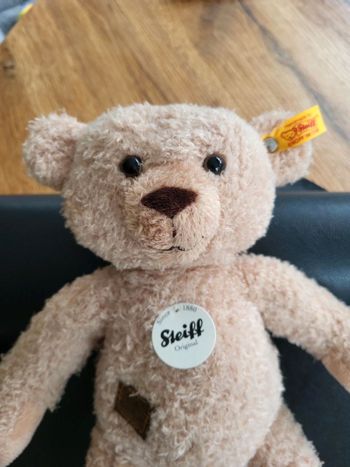 Teddy Teddybär Steiff -nicht bespielt- in Osterode am Harz
