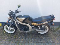 Suzuki GS500E Baden-Württemberg - Rheinfelden (Baden) Vorschau