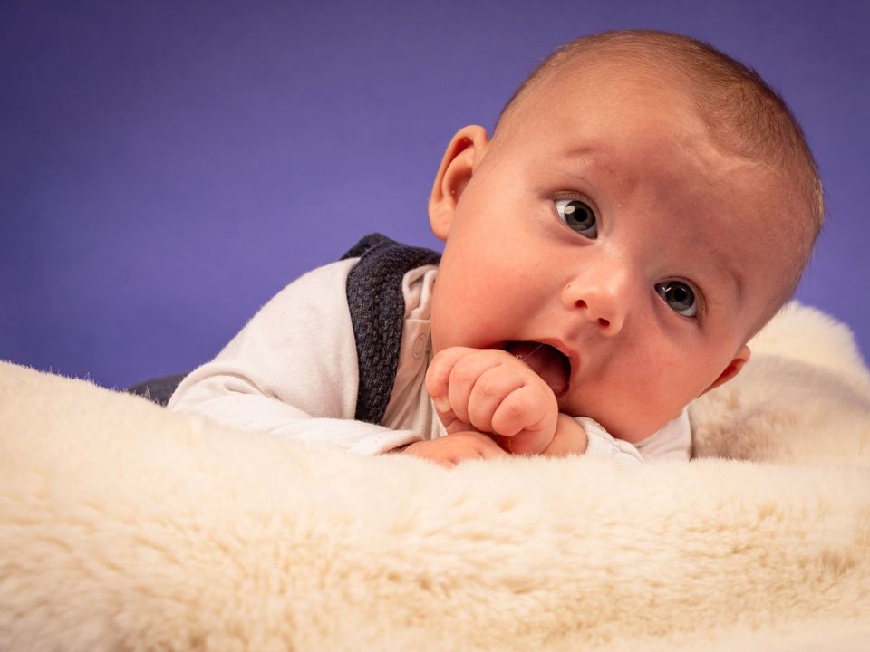 Fotograf Shooting Baby Babybauch Schwanger Newborn in Rehna