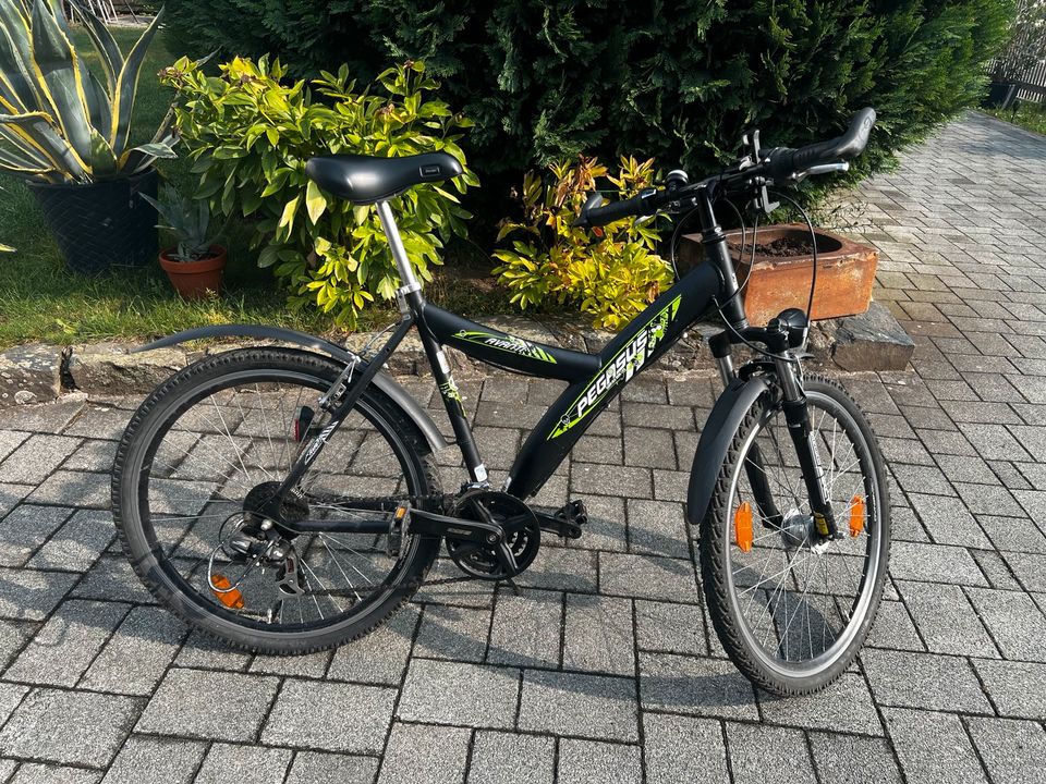 Fahrrad, Mountainbike in Chemnitz