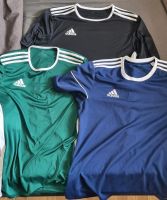 Sportshirts/Tshirts 3er Pack Adidas (grün, blau, schwarz) Niedersachsen - Hildesheim Vorschau