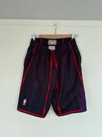Mitchell & Ness Toronto Raptors Shorts Baden-Württemberg - Weinheim Vorschau