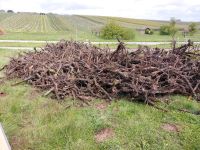 Rebholz Grillholz Kamin Brennholz Baden-Württemberg - Cleebronn Vorschau