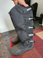 Reitstiefel Winter von Loesdau Größe 39 Chemnitz - Kleinolbersdorf-Altenhain Vorschau