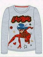 Miraculous Ladybug Langarmshirt grau 122,140 NEU! Reduziert Brandenburg - Potsdam Vorschau