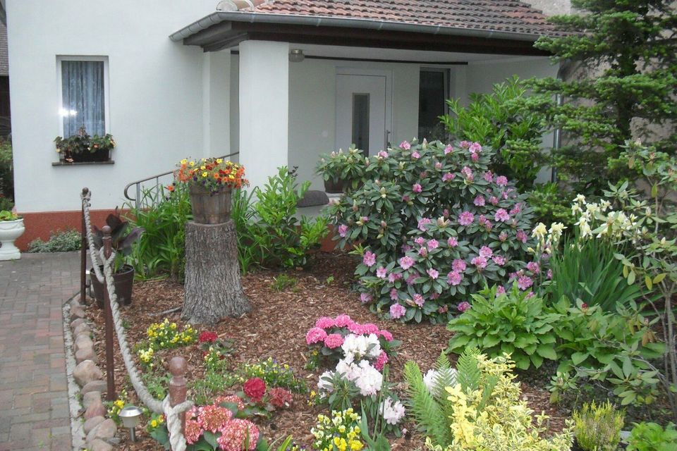 Großräumige Ferienwohnung im Spreewald in Burg (Spreewald)