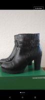 Tom Tailor Ankle Boots Gr.39 Nordrhein-Westfalen - Schloß Holte-Stukenbrock Vorschau