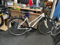 Pegasuss,Solero Damen Fahrrad 28 Zoll R H. 50 cm Friedrichshain-Kreuzberg - Kreuzberg Vorschau