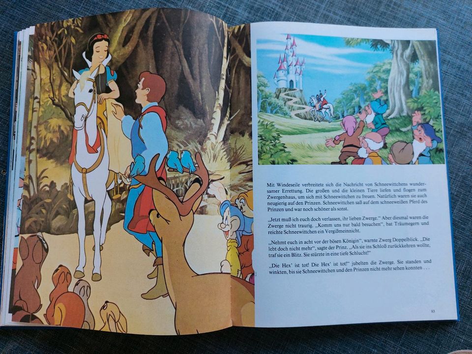 Walt Disney Märchen Buch in Pfaffenhofen a. d. Roth