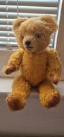DDR Teddybär Berlin - Steglitz Vorschau