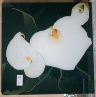 Bild Glasbild Blumen 50 x 50 cm Calla Lilie Rheinland-Pfalz - Neustadt an der Weinstraße Vorschau