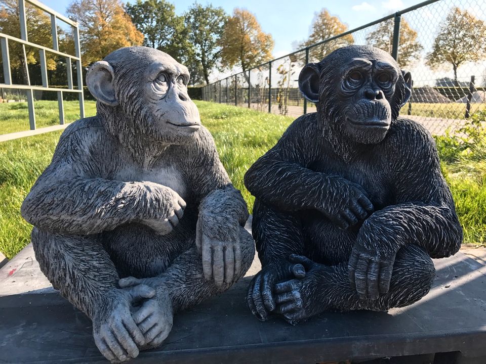 ‼️Schimpanse 52cm Chita Bonobo Steinguss Affe Affen Menschenaffe in Schönefeld