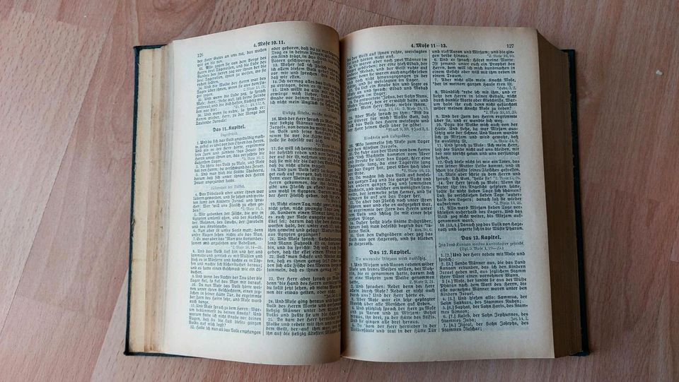 Bibel Heilige Schrift Alter unbekannt in Glauchau