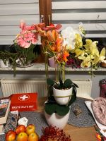 Abella Flora künstliche Orchidee zwei Töpfe orange weiß gelb Niedersachsen - Visselhövede Vorschau