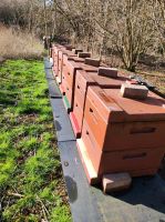 Imkerei Bienen Komplettset Niedersachsen - Hinte Vorschau