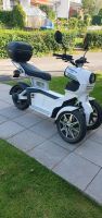 E Roller Elektroroller E Scooter Rheinland-Pfalz - Hermeskeil Vorschau