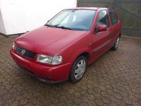 VW Polo 6N 1.4L 60PS EZ 03/1998 4-türig TÜV bis 08/2025 178.803km Nordrhein-Westfalen - Solingen Vorschau