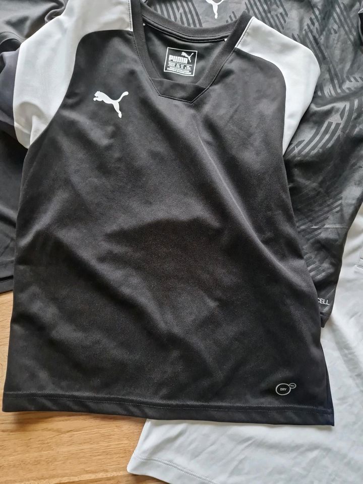 Jungen Sport Funktion Kleidung 140 Trikots Shirts langarm Jacke in Sendenhorst