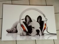 Leinwand Hund mit Kopfhörern  ( 2x vorhanden) Hessen - Biebertal Vorschau