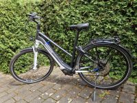 E-Bike Pegasus Premio 10 EVO lite Baden-Württemberg - Schorndorf Vorschau