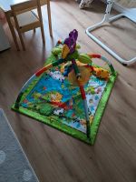 Fisher Price Dschungel Spielbogen Babyspielzeug Rheinland-Pfalz - Neuwied Vorschau