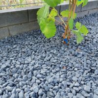 Basalt Rundsteine Natursteine Kies Gartensteine dunkel grau Sachsen - Lichtenau Vorschau