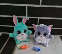 Hasbro Furreal Kätzchen Fuzzalotz Katze Hase Nordrhein-Westfalen - Finnentrop Vorschau