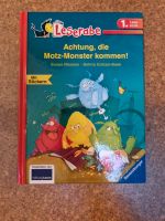 KINDERBUCH Achtung, die Monster kommen  Leserabe Brandenburg - Leegebruch Vorschau