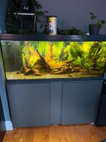 Eheim vivaline 240 LED Aquarium mit Unterschrank Grau Nordvorpommern - Landkreis - Barth Vorschau