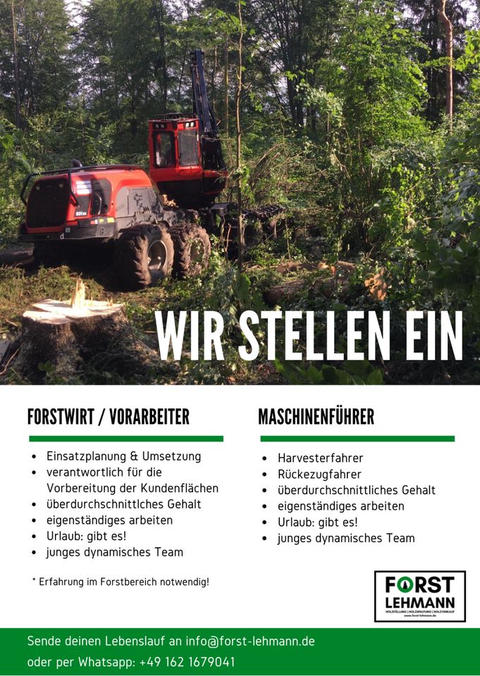 Forstwirt (Vorarbeiter) / Maschinenführer (m/w/d) in Lübben