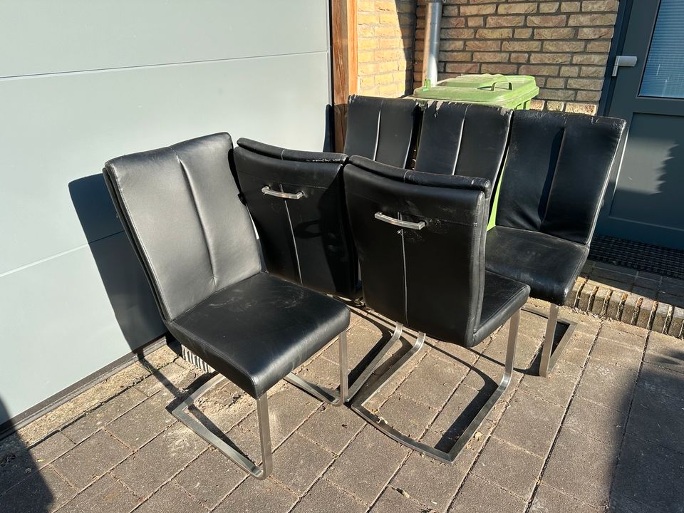 6 Stühle für Esszimmer, Schwingstuhl in Meyn