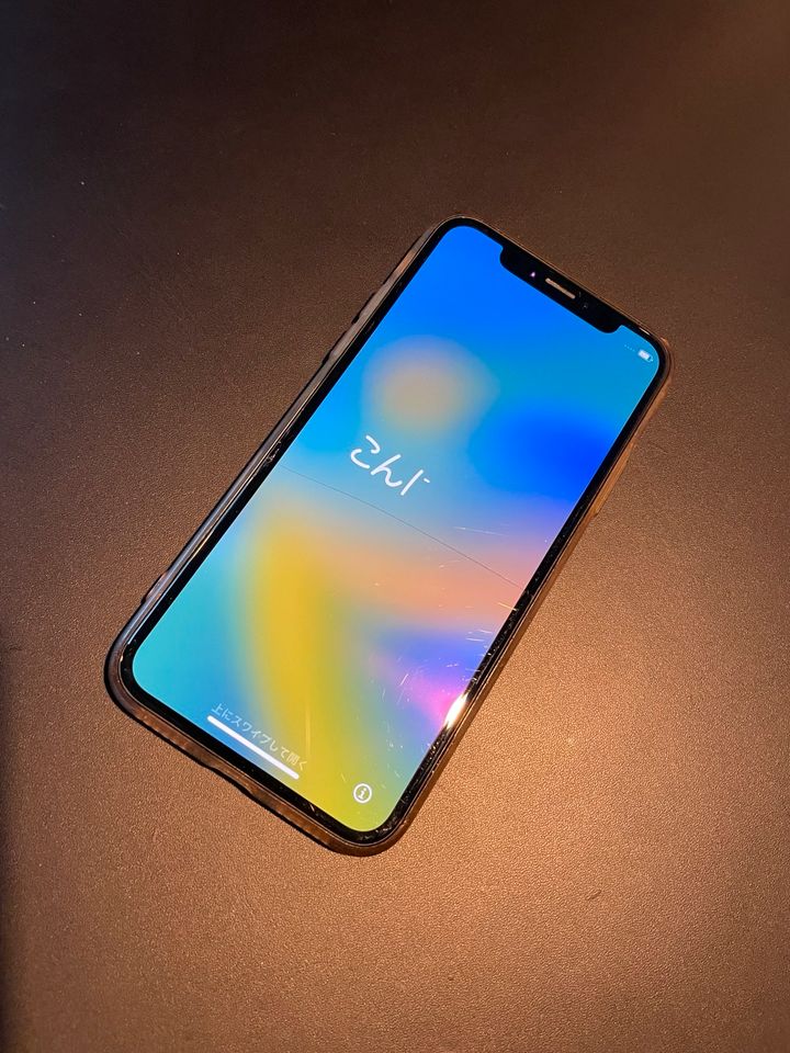 iPhone X 64 GB silber aus März/2018 gebraucht zu verkaufen in Gütersloh