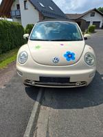 Volkswagen New Beetle 1.4 Cabriolet Standard Nordrhein-Westfalen - Morsbach Vorschau